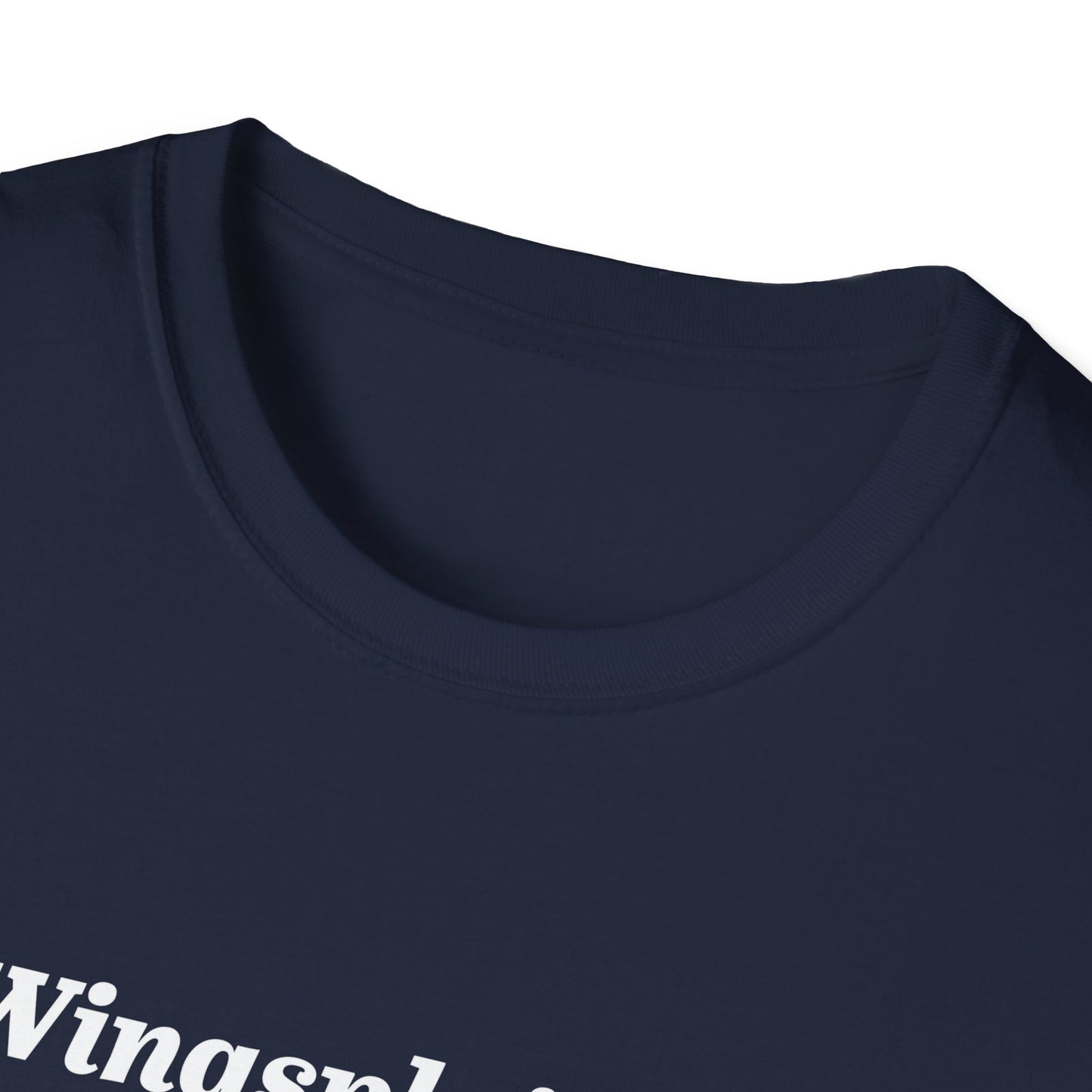 Wingspan Wingsplaining Tee