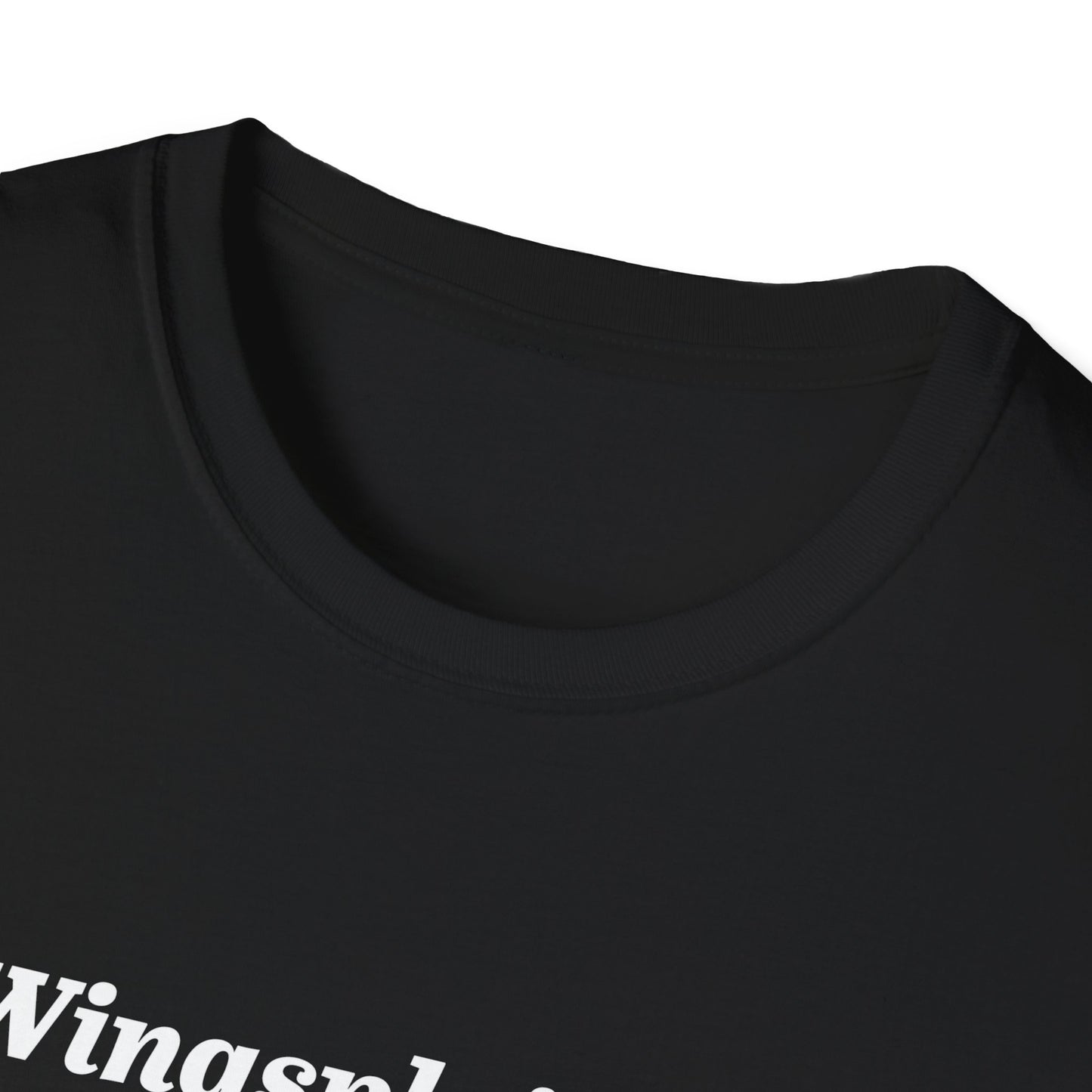 Wingspan Wingsplaining Tee