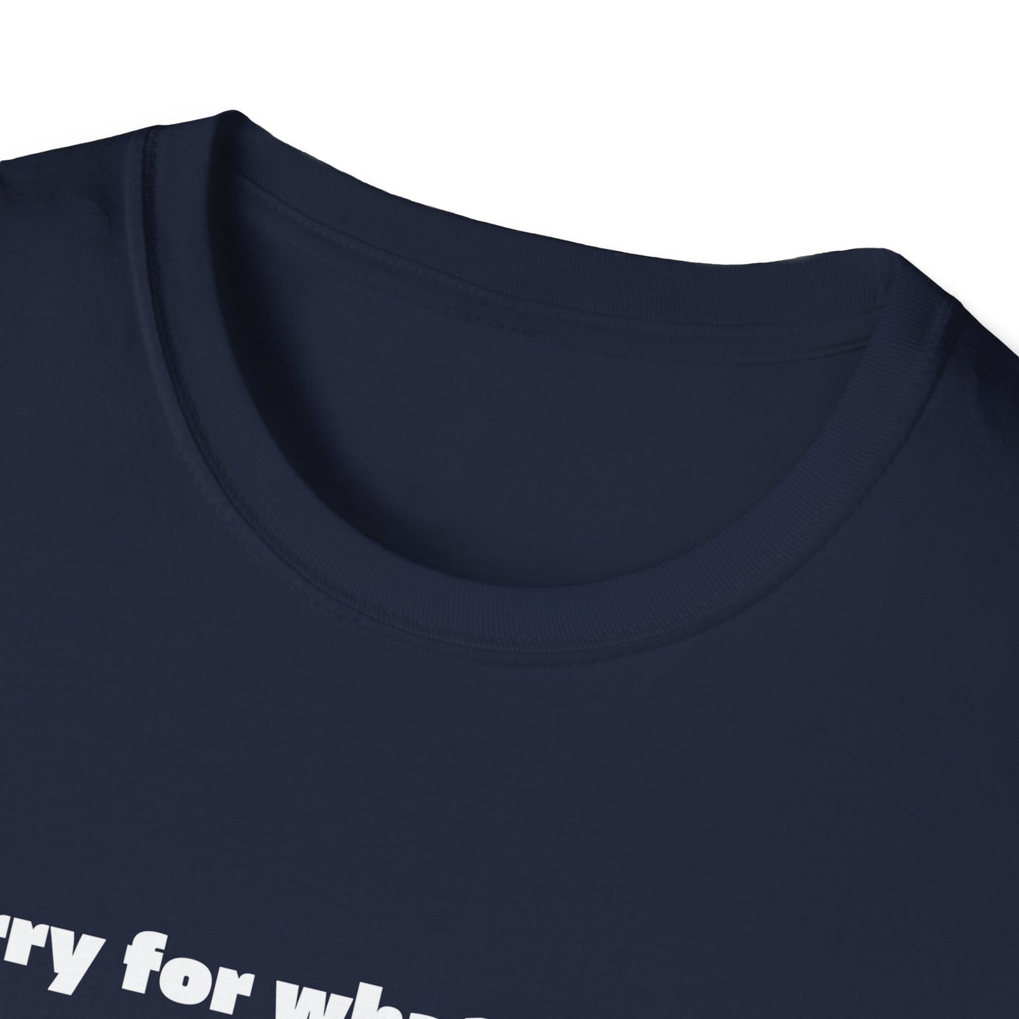 Sorry For What I Said Wingspan Tee