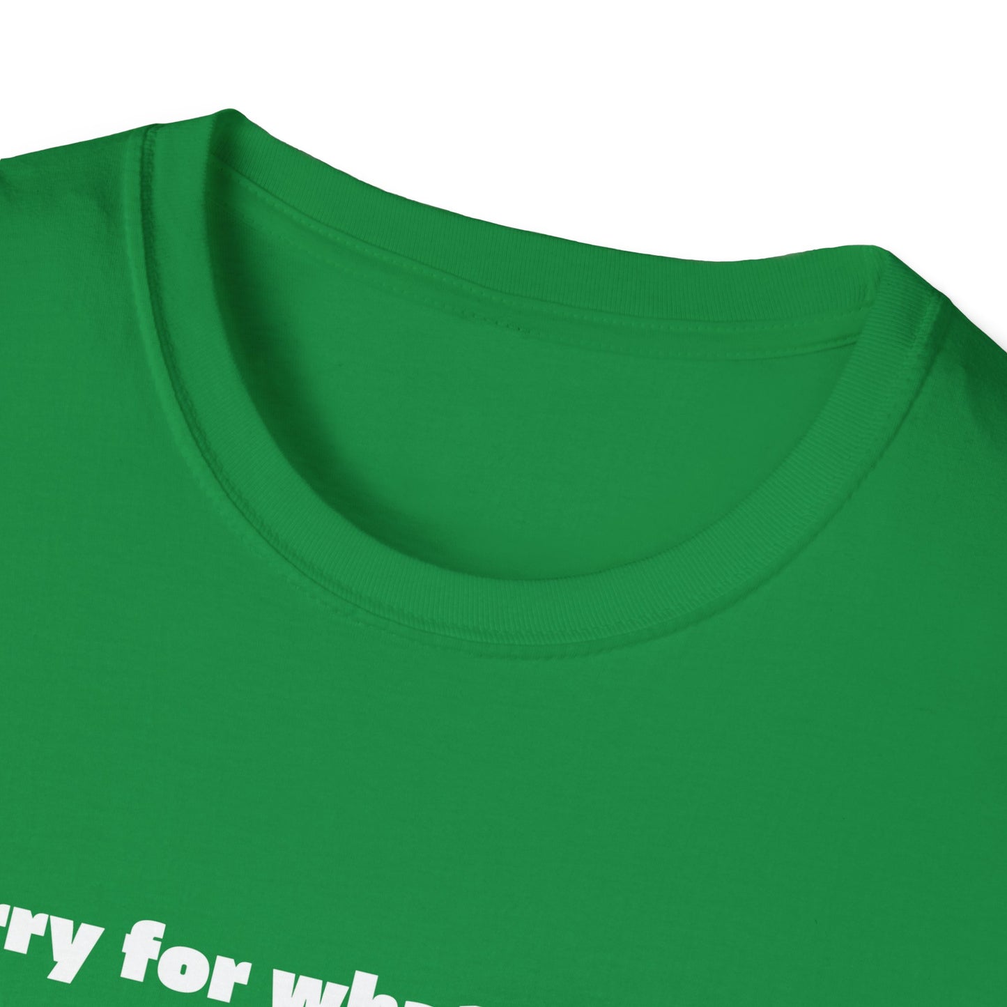 Sorry For What I Said Wingspan Tee