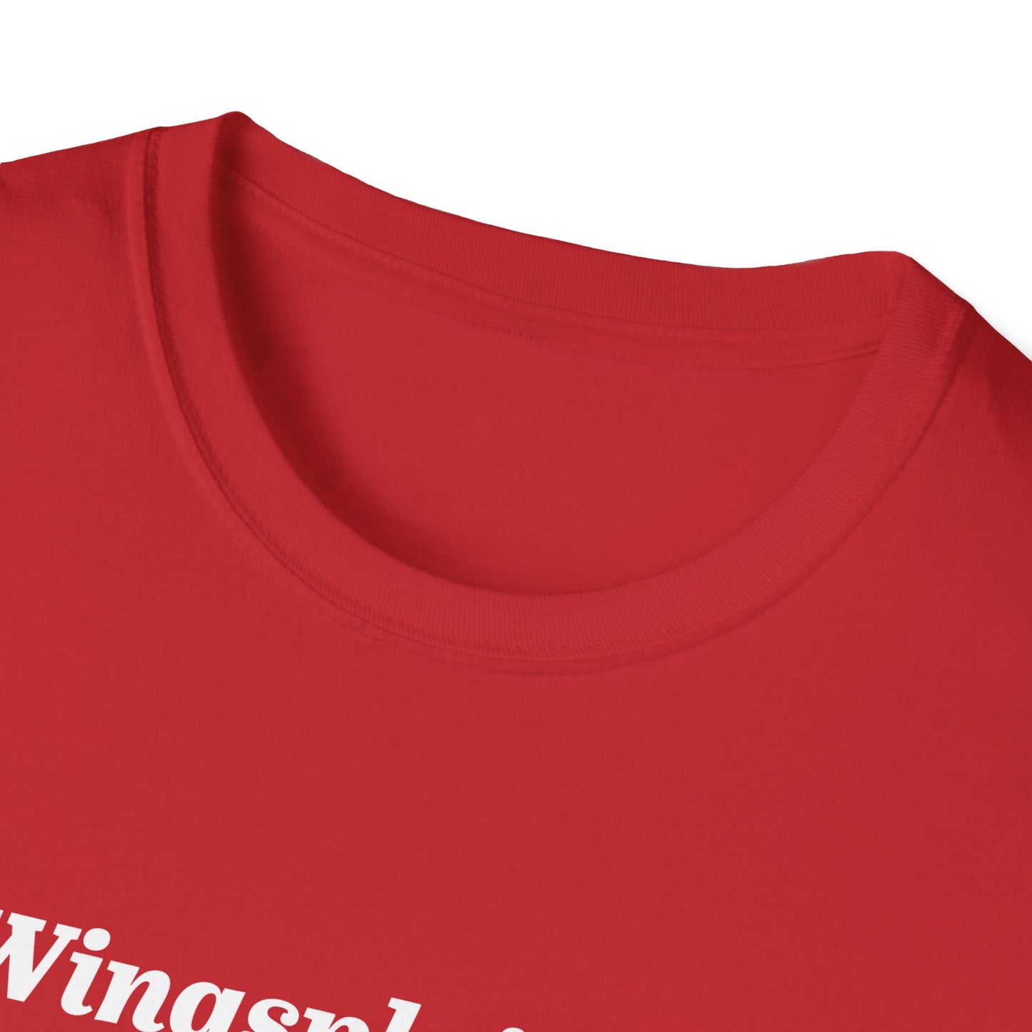 Wingspan Wingsplaining Tee